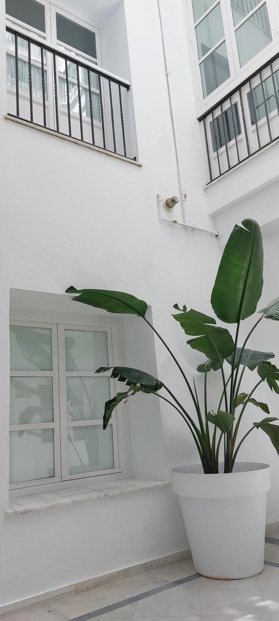 El 2 De Flamenco Bajob Lägenhet Cádiz Exteriör bild